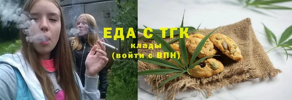 индика Абаза