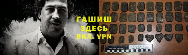 индика Абаза