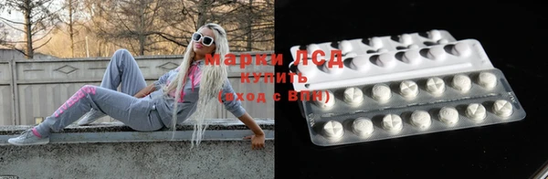 индика Абаза