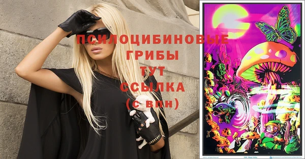 стафф Абдулино