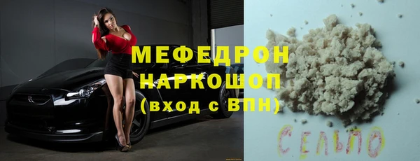 индика Абаза