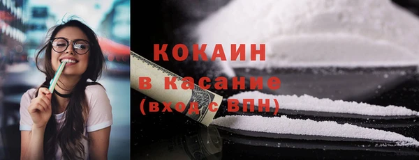 индика Абаза
