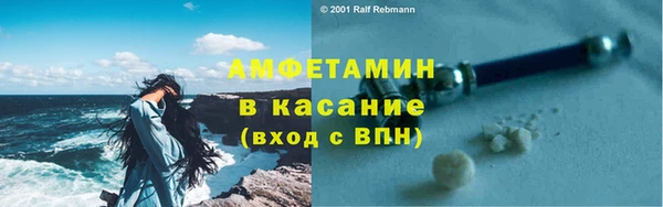 индика Абаза