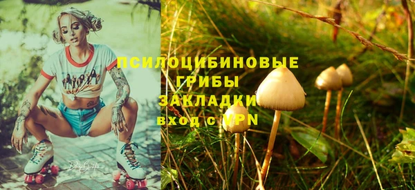 индика Абаза