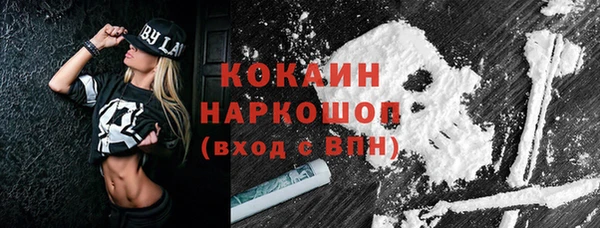 индика Абаза