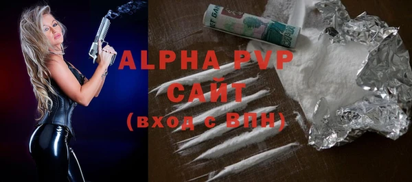 индика Абаза