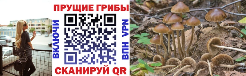 Псилоцибиновые грибы ЛСД  Болотное 